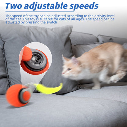 Speedy Tail 2.0, Interactive Cat Toy for Indoor Cats, Automatic Moving Cat Toy Ball, USB Rechargeable Smart Cat Toys Ball with Replacement Tail, 2 Speed Adjustment