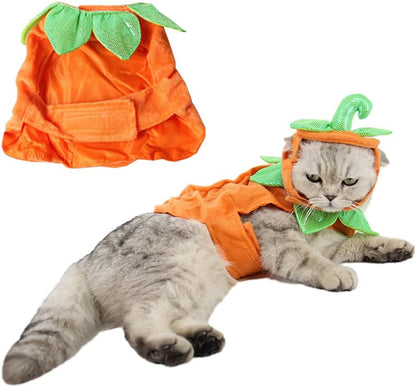 Pet Pumpkin Costume Cat Halloween Hat Cloak Sets Puppy Poncho Dog Halloween Cosplay for Kitty Small Medium Sized Dog