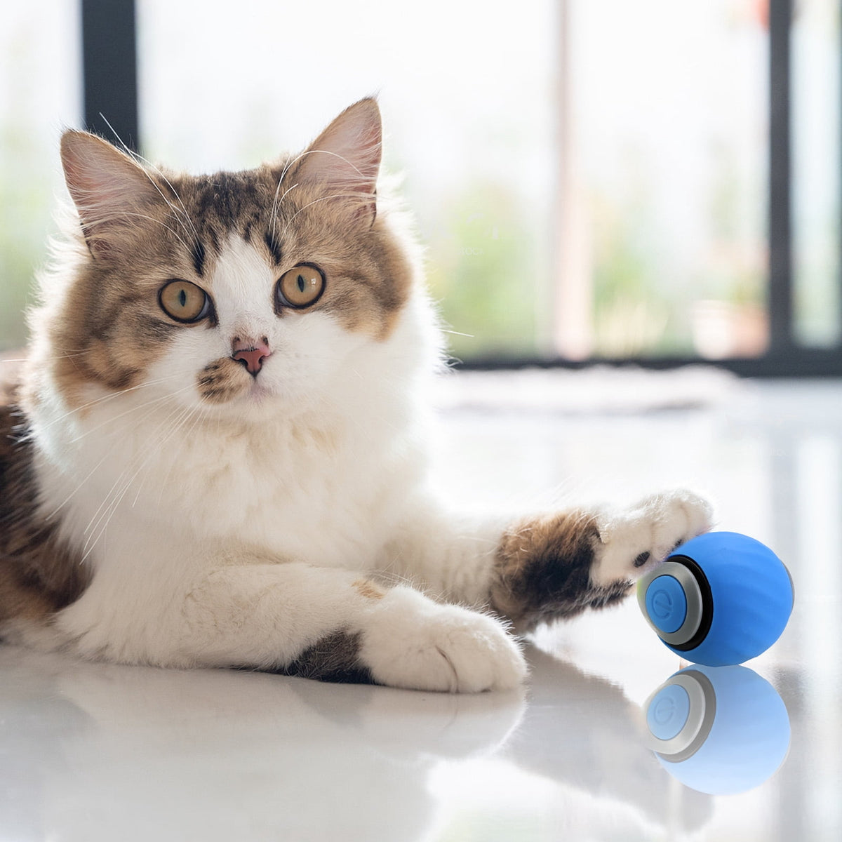 Speedy Tail 2.0, Interactive Cat Toy for Indoor Cats, Automatic Moving Cat Toy Ball, USB Rechargeable Smart Cat Toys Ball with Replacement Tail, 2 Speed Adjustment