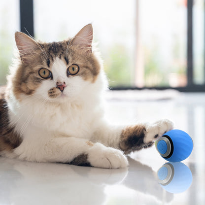 Speedy Tail 2.0, Interactive Cat Toy for Indoor Cats, Automatic Moving Cat Toy Ball, USB Rechargeable Smart Cat Toys Ball with Replacement Tail, 2 Speed Adjustment
