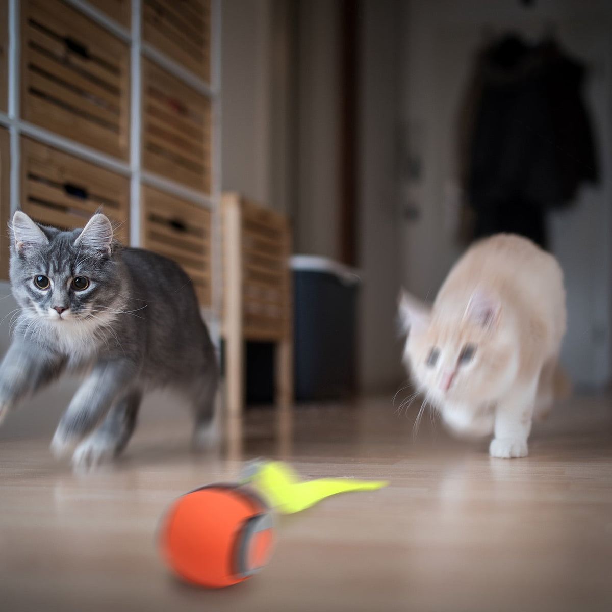 Speedy Tail 2.0, Interactive Cat Toy for Indoor Cats, Automatic Moving Cat Toy Ball, USB Rechargeable Smart Cat Toys Ball with Replacement Tail, 2 Speed Adjustment