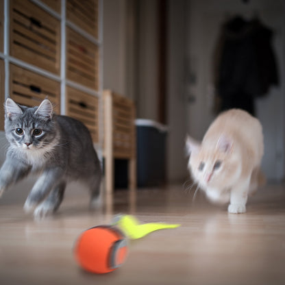Speedy Tail 2.0, Interactive Cat Toy for Indoor Cats, Automatic Moving Cat Toy Ball, USB Rechargeable Smart Cat Toys Ball with Replacement Tail, 2 Speed Adjustment